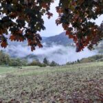 Arriva l'autunno